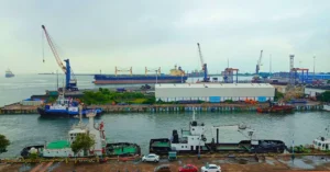 India’s major ports cargo operations at Paradip Port with cranes ships and dockyard