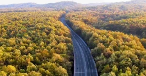 Delhi-Dehradun Economic Corridor expressway passing through forest