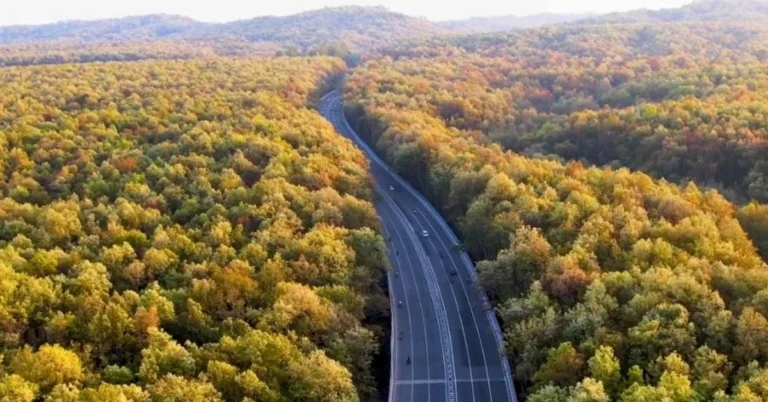 Delhi-Dehradun Economic Corridor expressway passing through forest