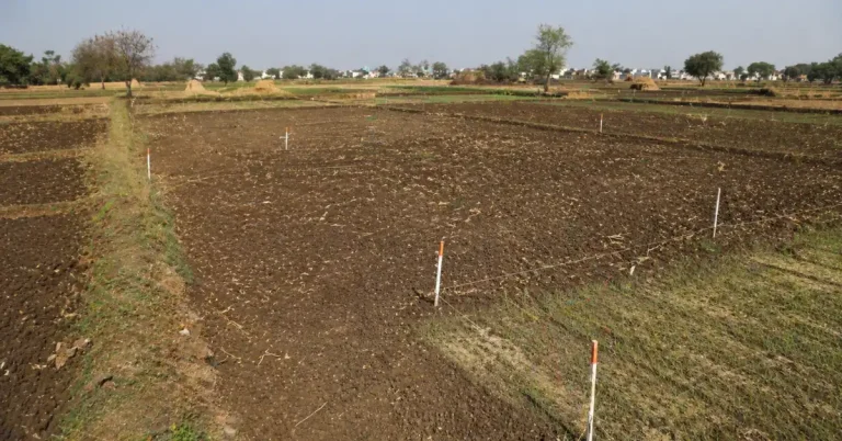 Madhya Pradesh Cabinet rural land showing agricultural fields prepared for acquisition