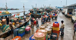 Seafood export activity at an Indian fishing harbour linked to India’s record seafood exports in FY 2025-26