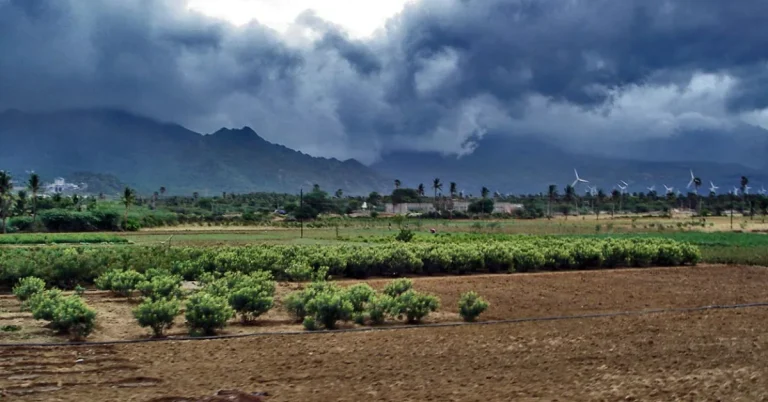 Dark monsoon clouds gather over agricultural fields during the southwest monsoon season.
